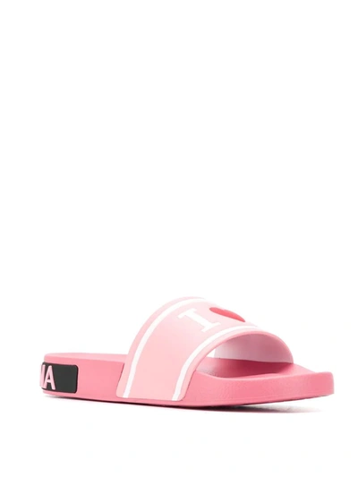 Shop Dolce & Gabbana Logo Slides In Pink