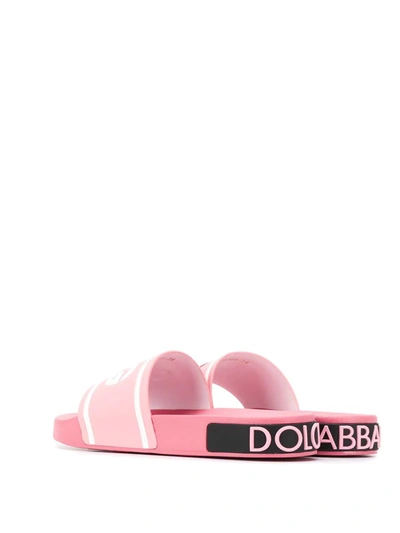 Shop Dolce & Gabbana Logo Slides In Pink