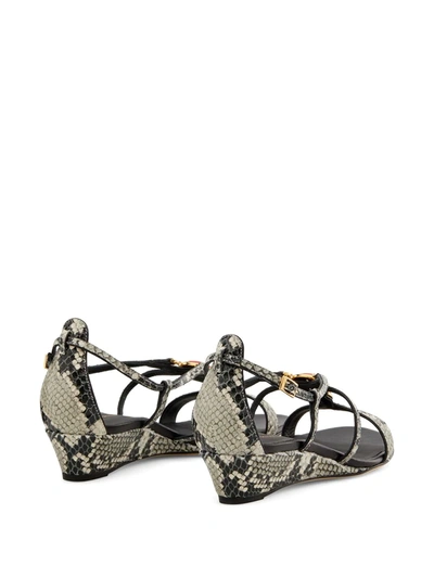 Shop Giuseppe Zanotti Adelaide Python-print Sandals In Grey