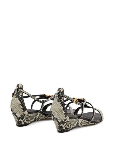 Giuseppe Zanotti Adelaide Snakeskin-effect Sandals In Grey