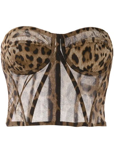 Shop Dolce & Gabbana Leopard-print Tulle Bustier Top In Brown