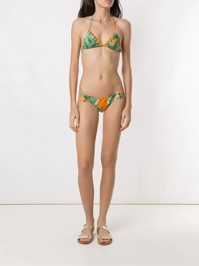 Shop Amir Slama Triangle Bikini Set In Green