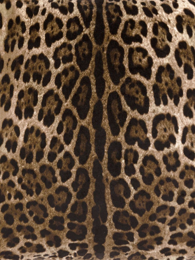 Shop Dolce & Gabbana Medium Leopardo-print Velvet Cushion In Brown
