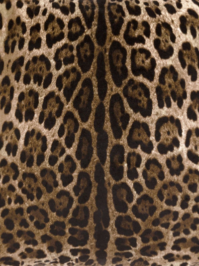 Dolce & Gabbana Medium Leopardo-print Velvet Cushion In Brown