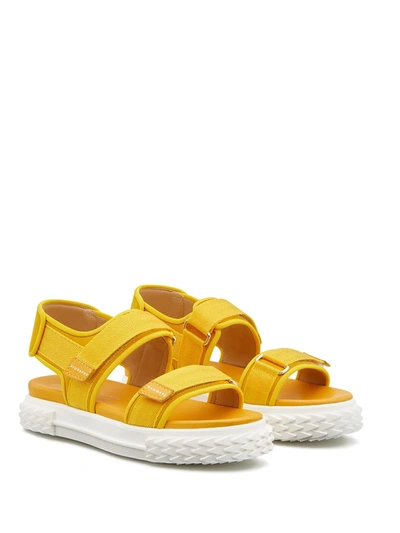 Giuseppe Zanotti Blabber Gummy Sandals In Yellow