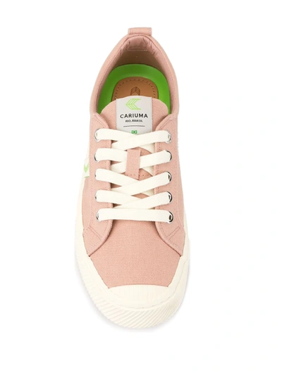 Cariuma Ladies Oca Low Lace-up Canvas Trainers In Pink