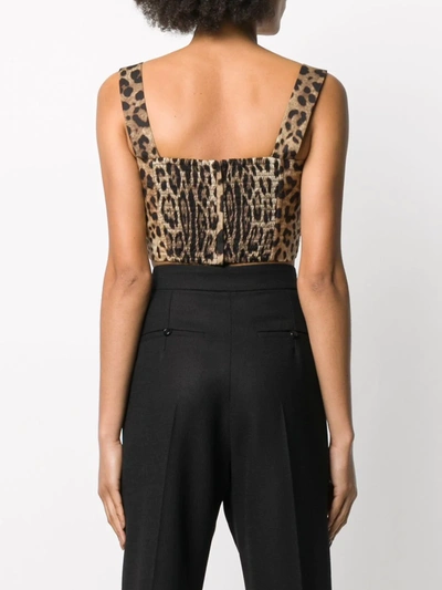 Shop Dolce & Gabbana Leopard-print Poplin Crop Top In Neutrals