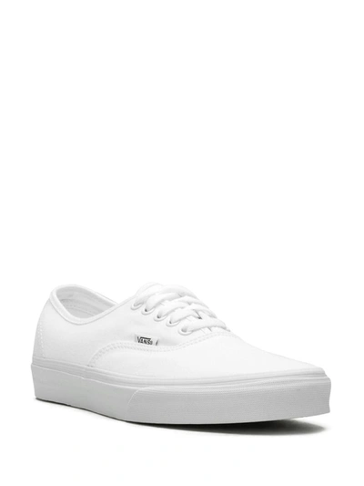 Vans Og Authentic Lx Palm Print Sneakers In White