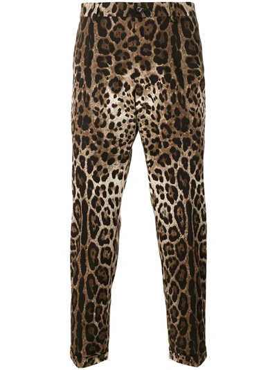 Shop Dolce & Gabbana Leopard-print Straight-leg Trousers In Brown