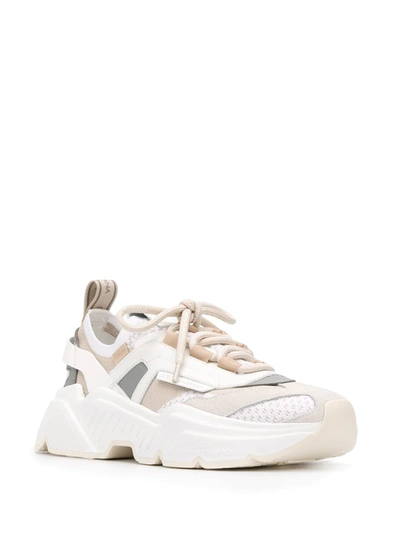 Shop Dolce & Gabbana Daymaster Stretch Mesh Sneakers In Neutrals