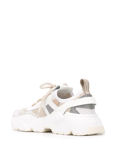 Shop Dolce & Gabbana Daymaster Stretch Mesh Sneakers In Neutrals