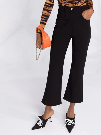 Shop Weinsanto Cropped Flared Trousers In Black