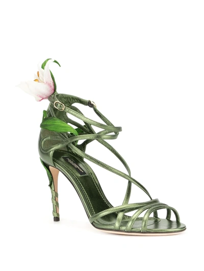Shop Dolce & Gabbana Lily Sandals In Green