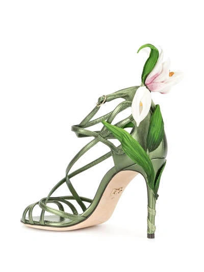 Shop Dolce & Gabbana Lily Sandals In Green