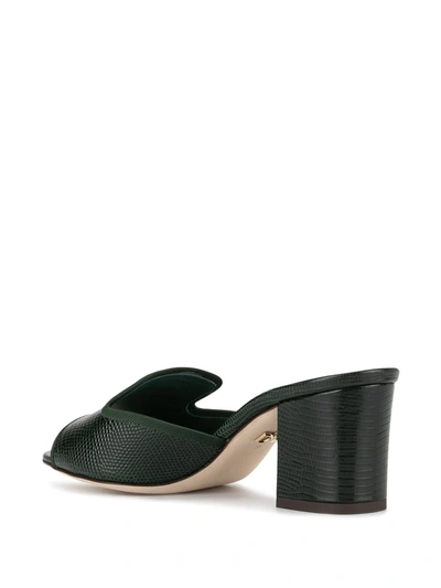 Shop Dolce & Gabbana Logo Plaque Mules In Black