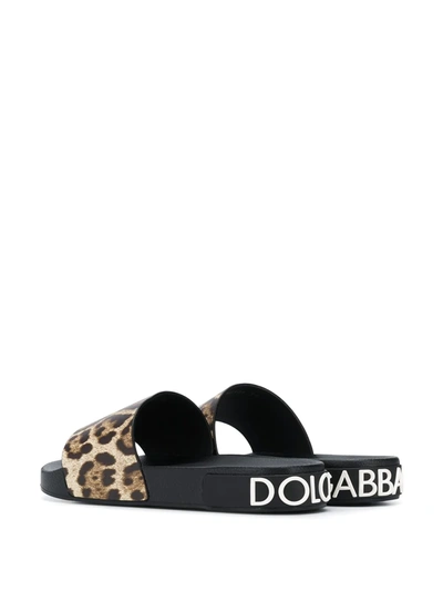 Shop Dolce & Gabbana Leopard Print Slides In Brown