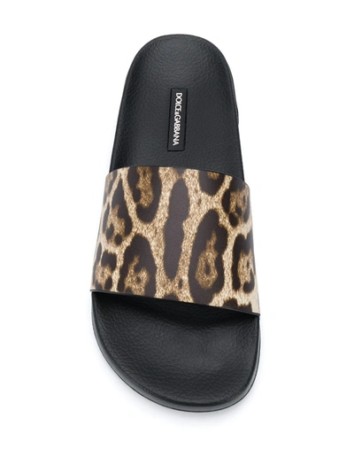 Shop Dolce & Gabbana Leopard Print Slides In Brown