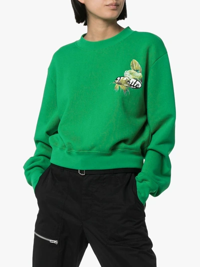 Shop Off-white Graphic Print Cropped Sweater In Green