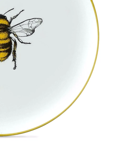 Les-ottomans Insetti Collection Handpainted Plate In Multicolour