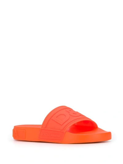 Shop Dolce & Gabbana Logo Strap Slides In Orange