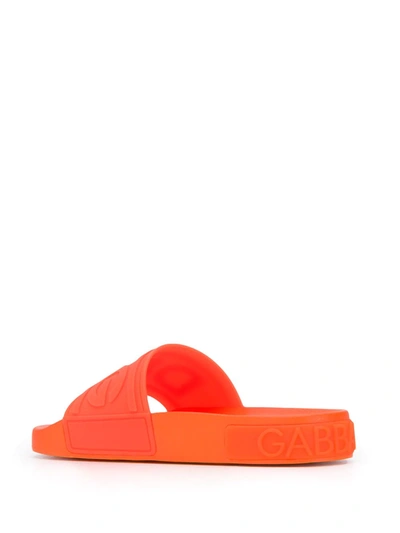 Shop Dolce & Gabbana Logo Strap Slides In Orange
