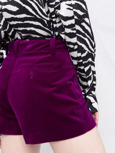 Shop Zadig & Voltaire High-waisted Velvet Shorts In Rosa