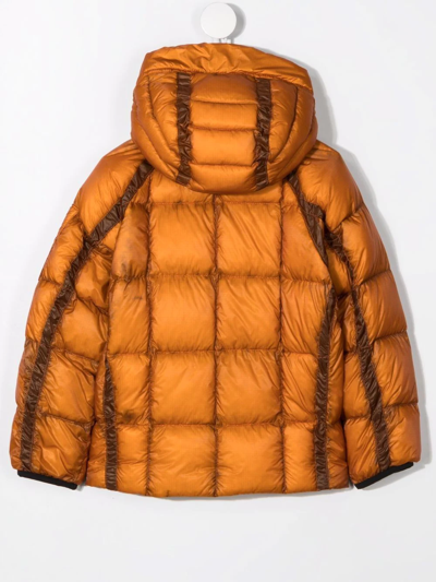 Shop C.p. Company Hooded Feather-down Padded Jacket In Orange