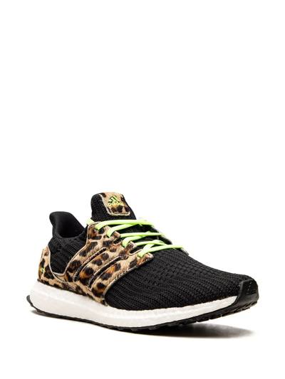 Adidas Originals Ultraboost Dna "leopard" Sneakers In Black | ModeSens