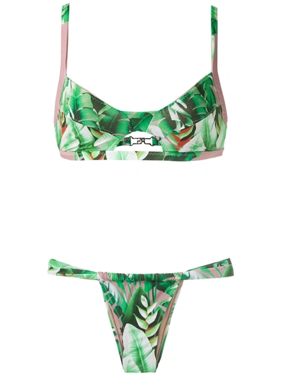 Shop Amir Slama Printed Bikini Set In Green