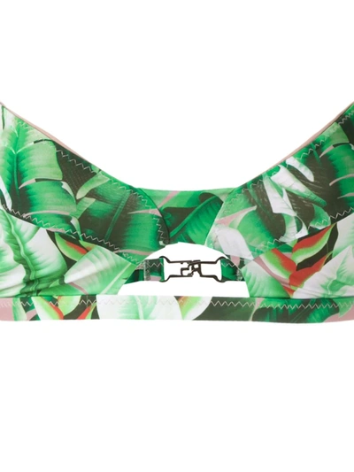 Shop Amir Slama Printed Bikini Set In Green