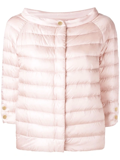 Shop Herno Snap Button Padded Jacket In Pink