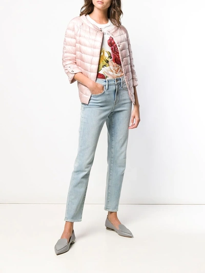 Shop Herno Snap Button Padded Jacket In Pink