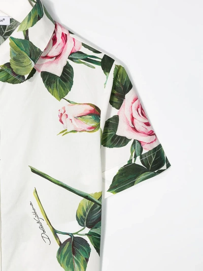 Dolce & Gabbana Rose Print Cropped Shirt In White