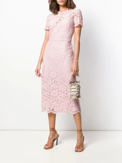 Shop Valentino Floral Lace Fitted Dress In Pink