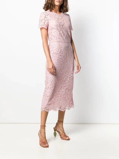 Shop Valentino Floral Lace Fitted Dress In Pink