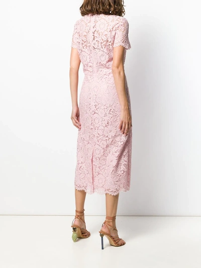 Shop Valentino Floral Lace Fitted Dress In Pink