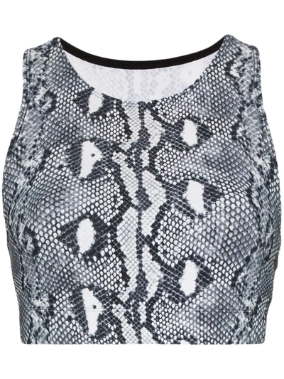 Shop Adam Selman Sport Snake-print Performance Crop Top In Black