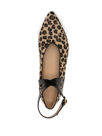 Shop Tila March Christy Leopard Ballerina Shoes In Neutrals