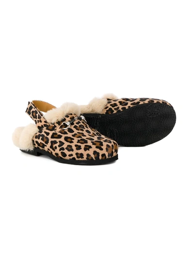 Shop Gallucci Leopard-print Shearling Slippers In Brown