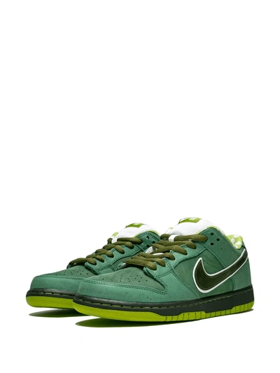 Shop Nike X Concepts Sb Dunk Low Pro Og Qs "green Lobster" Sneakers