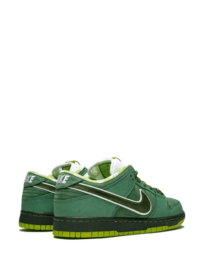 Shop Nike X Concepts Sb Dunk Low Pro Og Qs "green Lobster" Sneakers