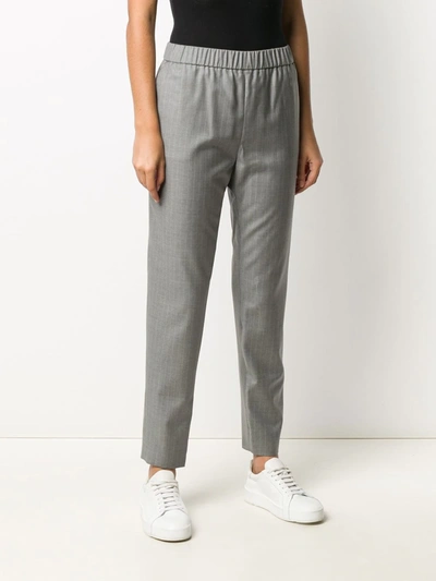 Shop Fabiana Filippi Pinstriped Tapered Trousers In Grey