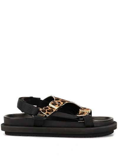 Shop Sacai Leopard Print Sandals In Black