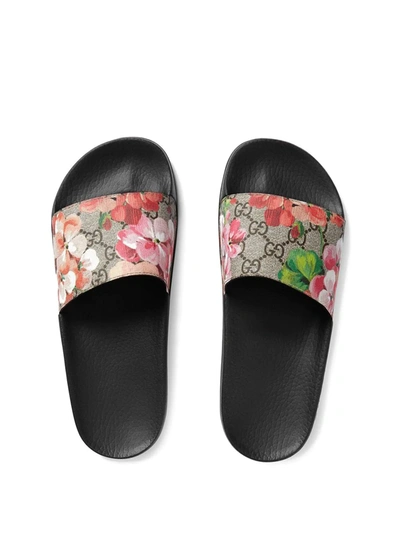 Shop Gucci Gg Blooms Supreme-canvas Slides In Black