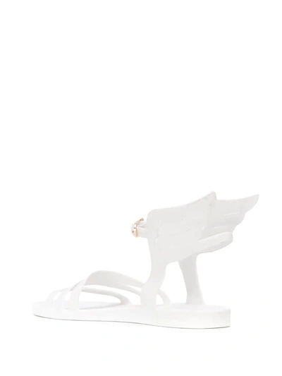 Shop Ancient Greek Sandals Ikaria Jelly Sandals In White