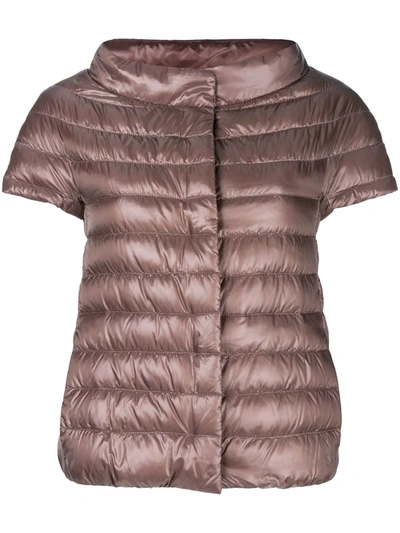 Shop Herno Short Sleeve Puffer Jacket In Brown
