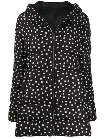 Shop Dolce & Gabbana Polka Dot Print Padded Coat In Black