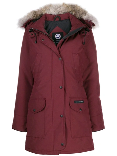 Shop Canada Goose Trillium Padded Parka In Red