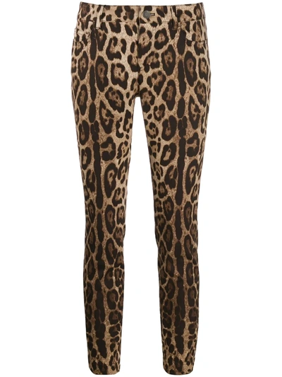 Shop Dolce & Gabbana Leopard-print Cropped Jeans In Neutrals