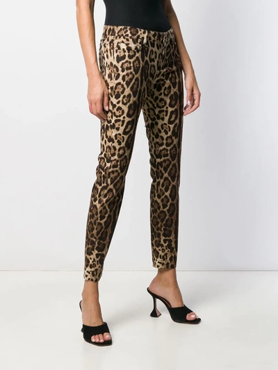 Dolce & Gabbana Leopard Print Cropped Trousers In Neutrals